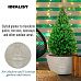 Textured Concrete Effect Oval Face Outdoor Plant Pot with Lips by Idealist Lite