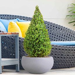 IDEALIST Lite Classic Smooth Bowl Outdoor Planter