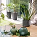 LECHUZA CUBE Glossy Square Poly Resin Indoor Self-watering Planter