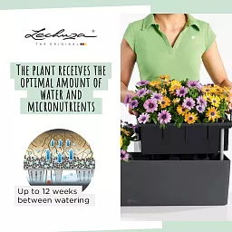 LECHUZA BALCONERA Color Trough Poly Resin Self-watering Planter