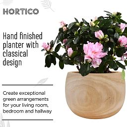HORTICO ECO Wooden House Planter Round Indoor Plant Pot for House Plants with Waterproof Liner