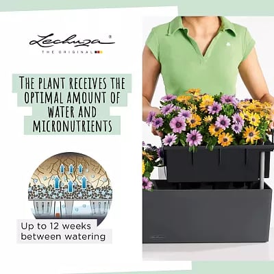 LECHUZA BALCONERA Color Trough Poly Resin Self-watering Planter