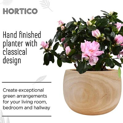 HORTICO ECO Wooden House Planter Round Indoor Plant Pot for House Plants with Waterproof Liner