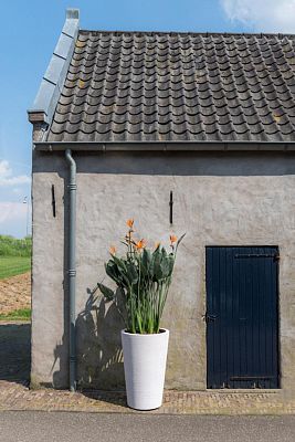 Fibrestone Belle Tall Planter by Idealist Premium