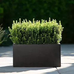IDEALIST Lite Contemporary Light Concrete High Trough Planter