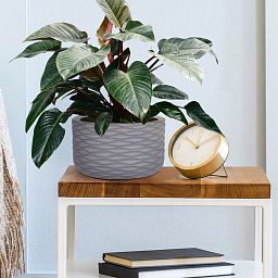 IDEALIST Lite Wave Style Table and Hanging Cylinder Round Plant Pot Dual Use Indoor Planter