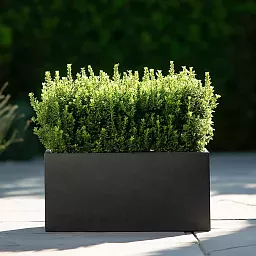 IDEALIST Lite Contemporary Light Concrete High Trough Planter