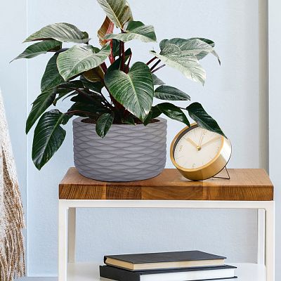 IDEALIST Lite Wave Style Table and Hanging Cylinder Round Plant Pot Dual Use Indoor Planter