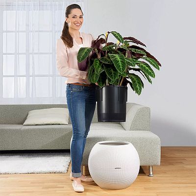 LECHUZA PURO Color Round Poly Resin Self-watering Planter