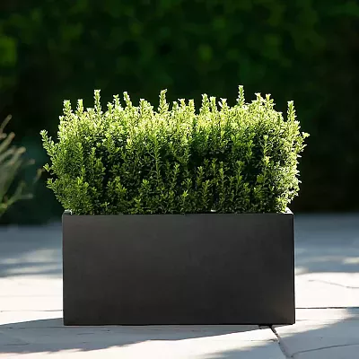 IDEALIST Lite Contemporary Light Concrete High Trough Planter