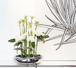 LUCIDO Stainless Steel Bowl Planter