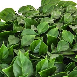 Topiary Mat Bougan UV-resistant Artificial Grass Plant