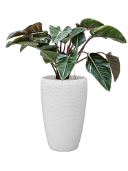 Amfi Partner Glossy Snake Tall Indoor Planter