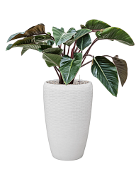 Amfi Partner Glossy Snake Tall Indoor Planter
