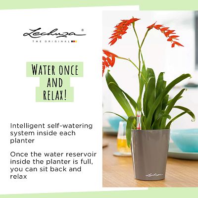 LECHUZA DELTINI|MINI-DELTINI Round Poly Resin Indoor Self-watering Planter