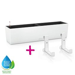 LECHUZA BALCONERA Color Trough Poly Resin Self-watering Planter Set