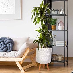 IDEALIST Lite Honeycomb Style Cylinder Planter on Legs, Round Pot Plant Stand Indoor
