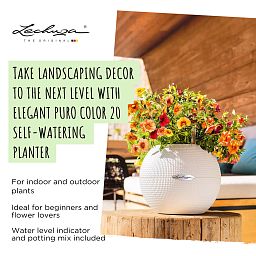 LECHUZA PURO Color Round Poly Resin Self-watering Planter