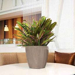 LECHUZA CLASSICO Round Poly Resin Planter Only