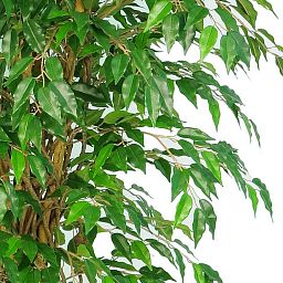 Ficus Liana Flame Retardant Artificial Tree Plant