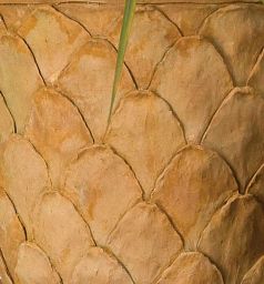 Pineapple Fiberglass Round Tall Terracotta Planter Pot In/Out