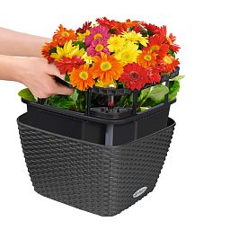 LECHUZA BACINO Cottage Square Poly Resin Self-watering Planter
