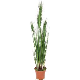 ONION GRASS Artificial Grass Plant