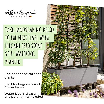 LECHUZA TRIO Stone Trough Poly Resin Self-watering Planter