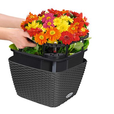 LECHUZA BACINO Cottage Square Poly Resin Self-watering Planter