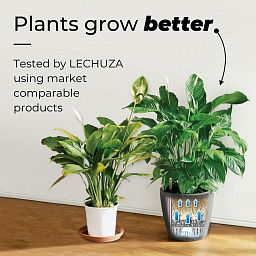 LECHUZA CANTO Stone Low Square Poly Resin Self-watering Planter
