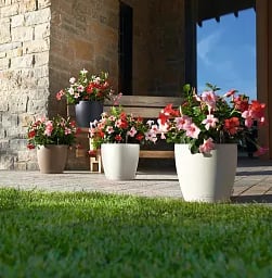 LECHUZA CLASSICO Color Round Poly Resin Self-watering Planter