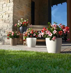 LECHUZA CLASSICO Color Round Poly Resin Self-watering Planter