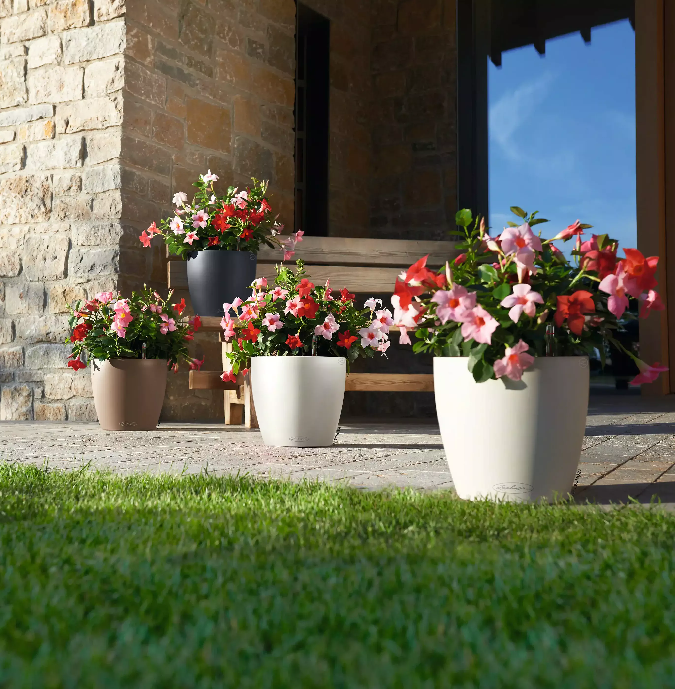 LECHUZA CLASSICO Color Round Poly Resin Self-watering Planter