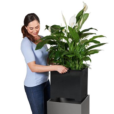 LECHUZA CANTO Low Square Poly Resin Self-watering Planter