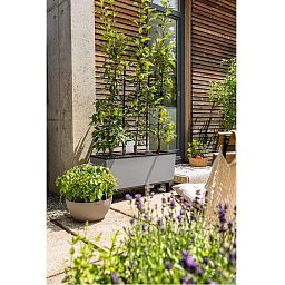 LECHUZA TRIO Stone Trough Poly Resin Self-watering Planter