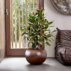 Metallic Couple Round Indoor Planter
