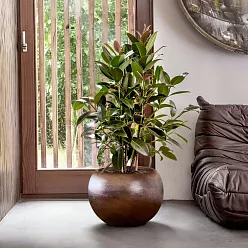 Metallic Couple Round Indoor Planter