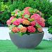 IDEALIST Lite Dish Style Smooth Bowl Outdoor Planter