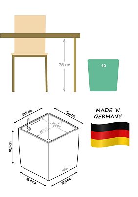 Monstera Deliciosa in LECHUZA CUBE Cottage Self-watering Planter, Total Height 160 cm