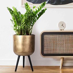 IDEALIST Lite Round Planter on Legs, Round Pot Plant Stand Indoor