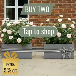 IDEALIST Lite Contemporary Light Concrete High Trough Planter