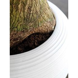 Harmony Round Tall Polystone Indoor Planter