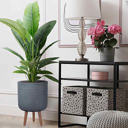 IDEALIST Lite Honeycomb Style Cylinder Planter on Legs, Round Pot Plant Stand Indoor