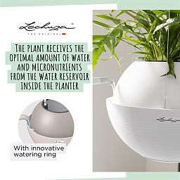 LECHUZA BOLA Color Round Poly Resin Self-watering Planter