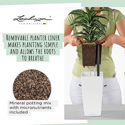 LECHUZA CUBI Square Poly Resin Indoor Self-watering Planter