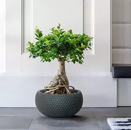 IDEALIST Lite Honeycomb Style Bowl Outdoor Planter