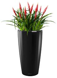 Blooming Vriesea Astrid in LECHUZA RONDO Self-watering Planter, Total Height 90 cm