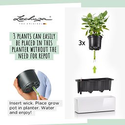LECHUZA CUBE Glossy Triple Trough Poly Resin Self-watering Planter