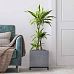 IDEALIST Lite Hammered Stone Style Square Indoor Planter on Metal Stand
