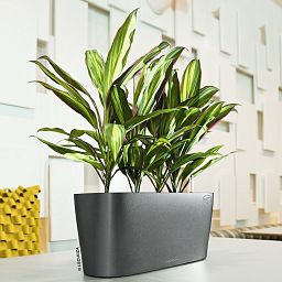 LECHUZA DELTA 10|DELTA 20 Poly Resin Indoor Self-watering Planter